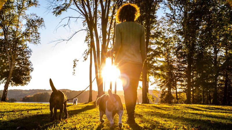 tomar el sol, lo mejor para almacenar vitamina D